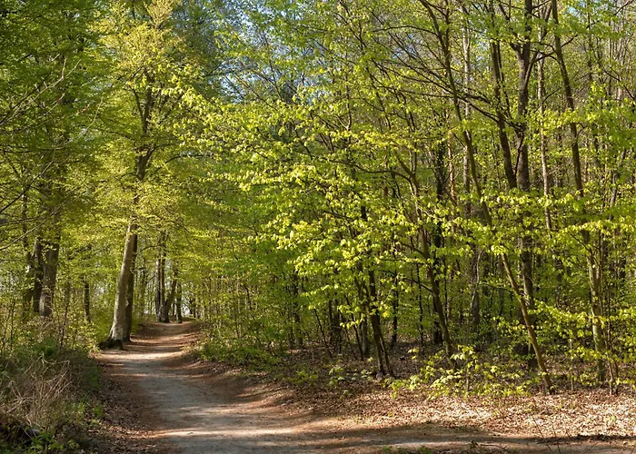 21b Niebieskie Z Basenem Krytym, Odkrytym, Sala Zabaw, Animacjami Поддомбе